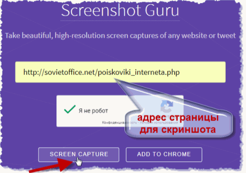  Web Screenshots