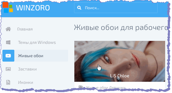      winzoro.net
